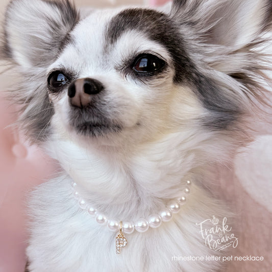 Rhinestone Gold Letter Charm Pet Necklace