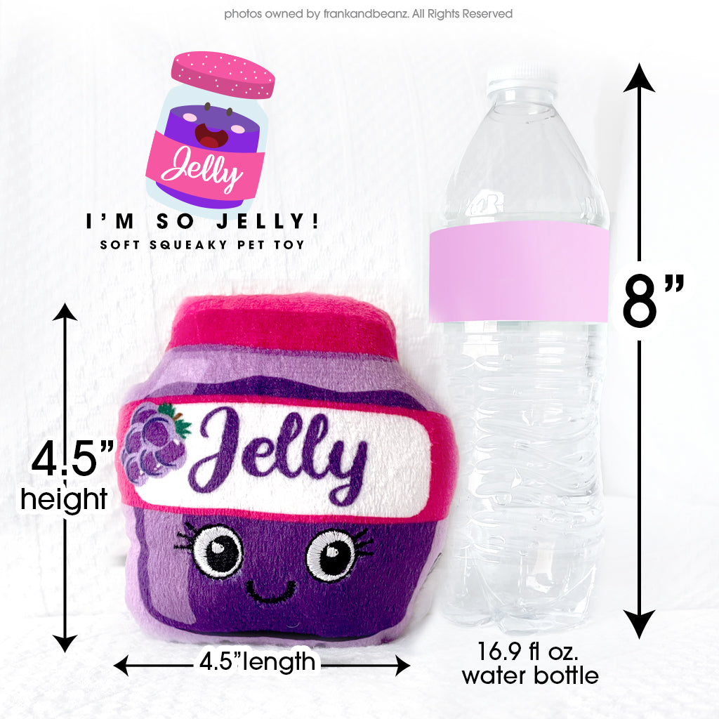 I'm So Jelly Mini Dog Toys for Little Dogs Squeaky