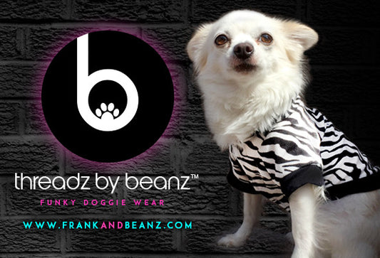 Threadz by Beanz Funky Dog Clothes