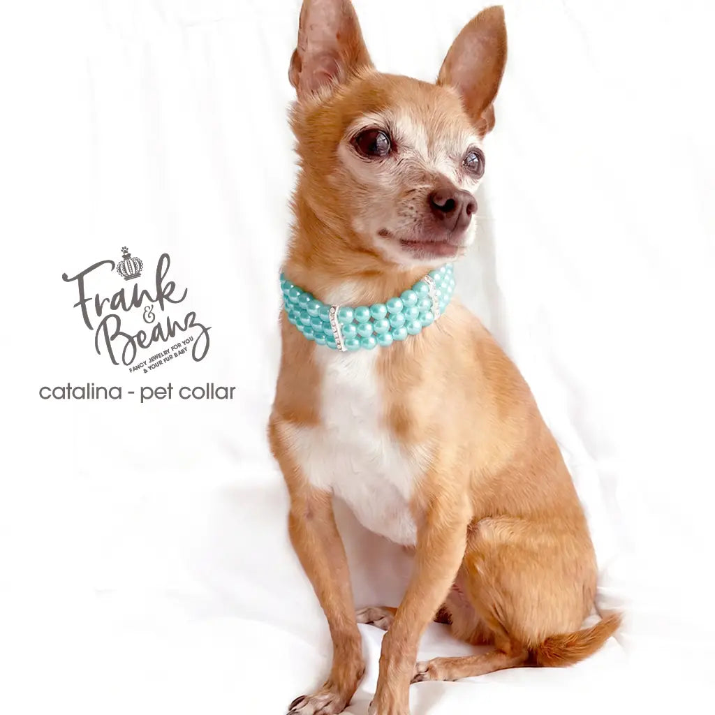 3 Layer Pearls Rhinestone Dog & Cat Collar Necklace - Catalina