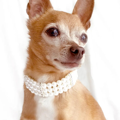 3 Layer Pearls Rhinestone Dog & Cat Collar Necklace - Marilyn