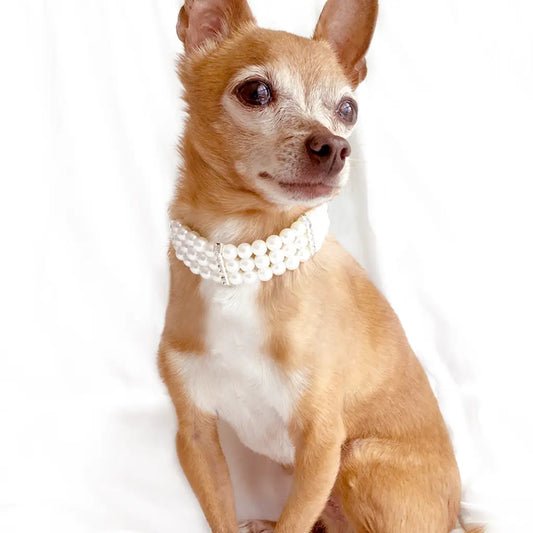 Marilyn 3 Layer Pearls Dog Collar Necklace Cat Collar Necklace