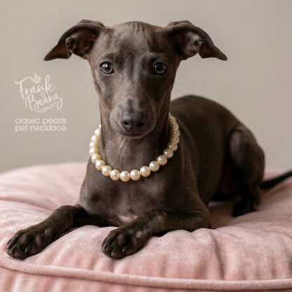 Classic Pearl Pet Necklace with Rhinestone Heart