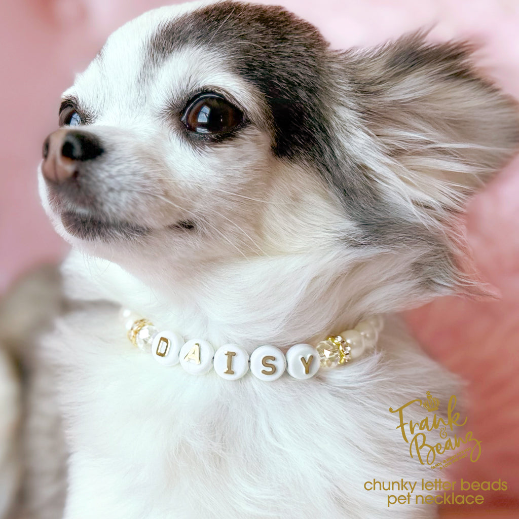 Personalized Chunky Letter Beads Pet Necklace