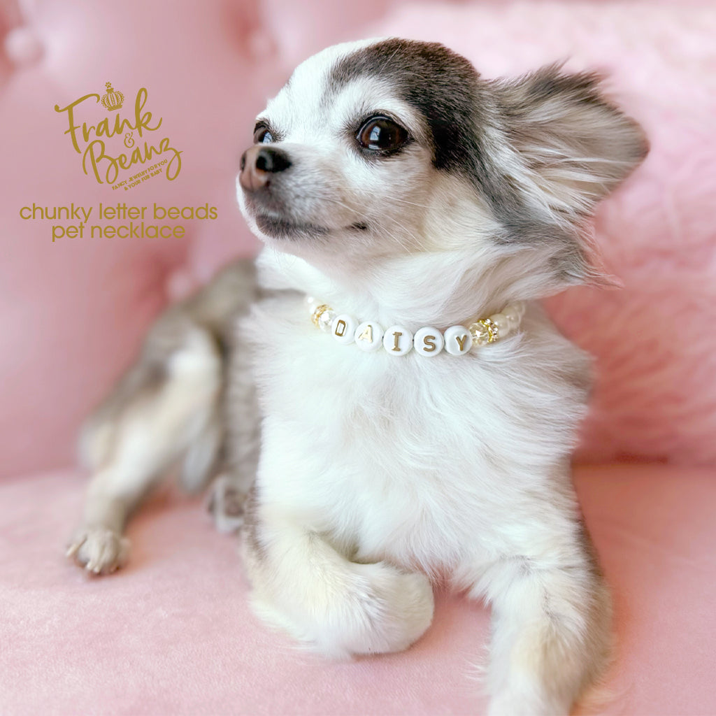 Personalized Chunky Letter Beads Pet Necklace