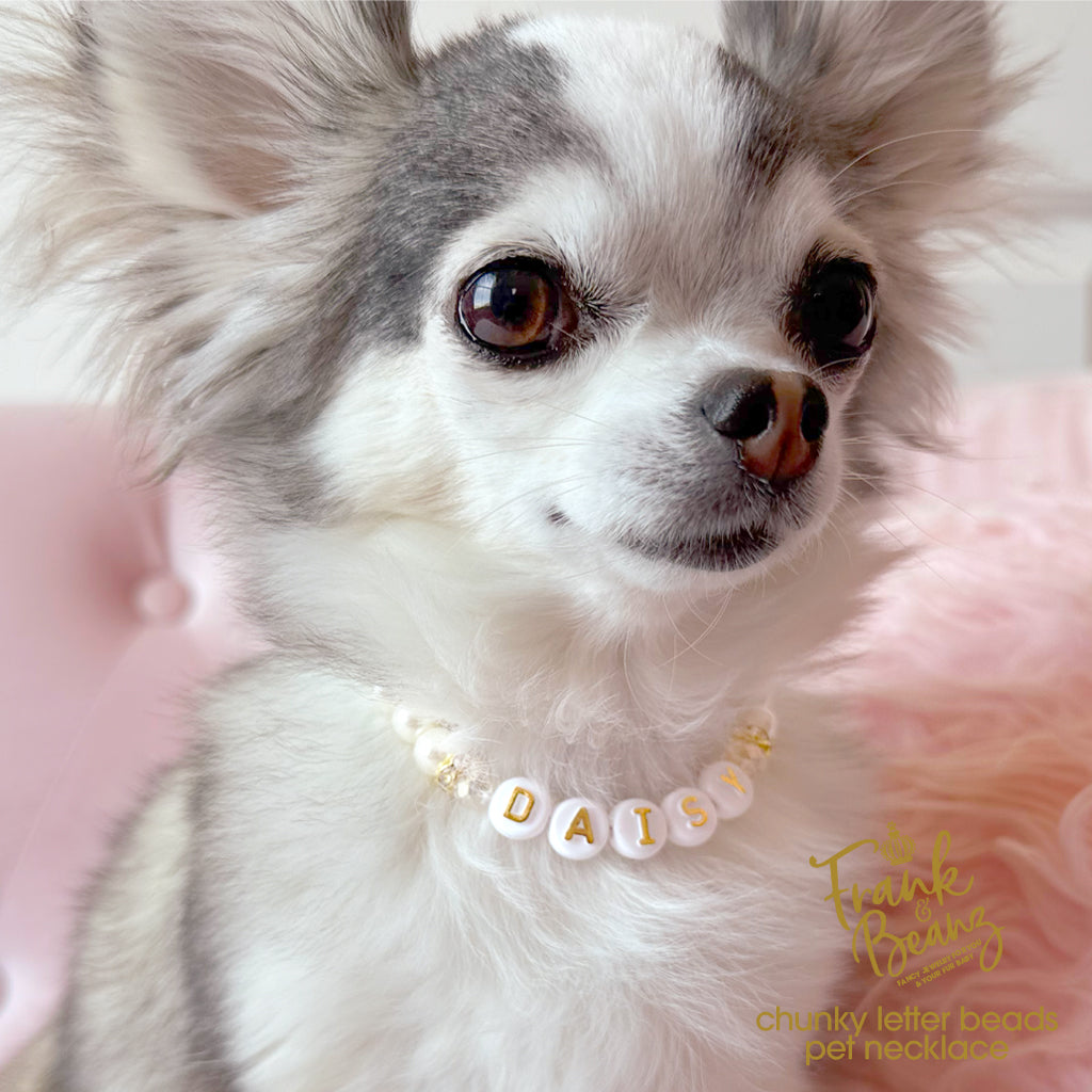 Personalized Chunky Letter Beads Pet Necklace