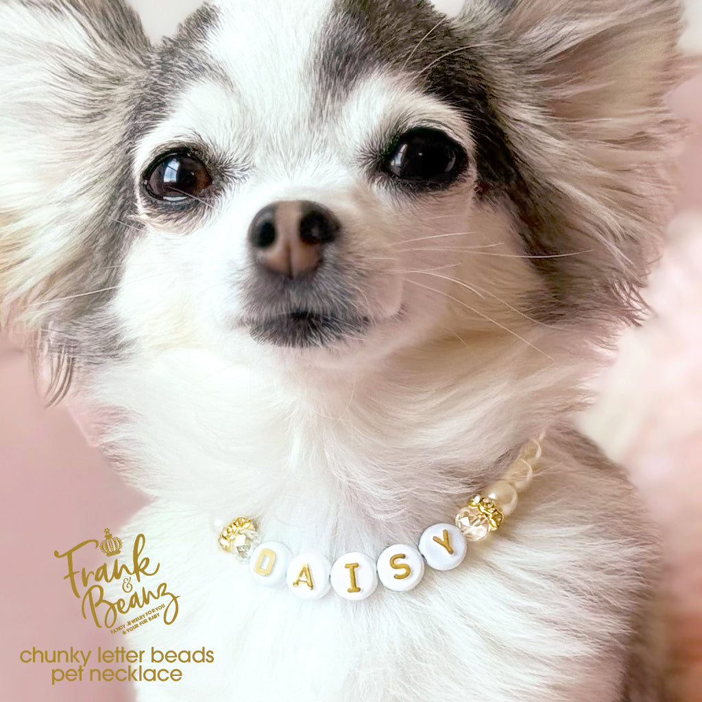 Personalized Chunky Letter Beads Pet Necklace