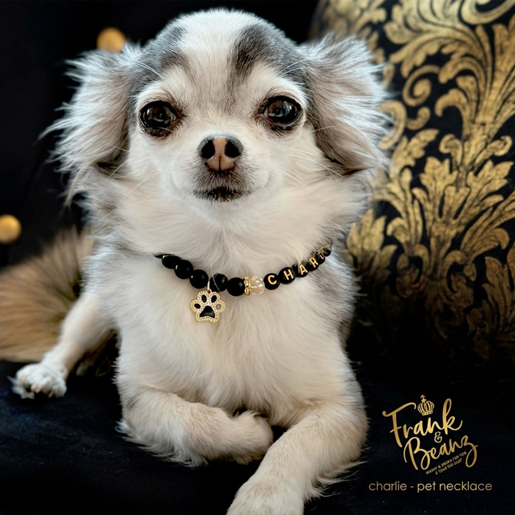 Black Beaded 18k Gold Paw Print Dog & Cat Necklace