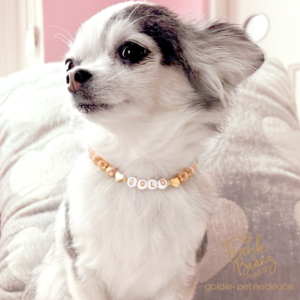 Champagne Pearls 14k Gold Hearts Dog & Cat Necklace with Name