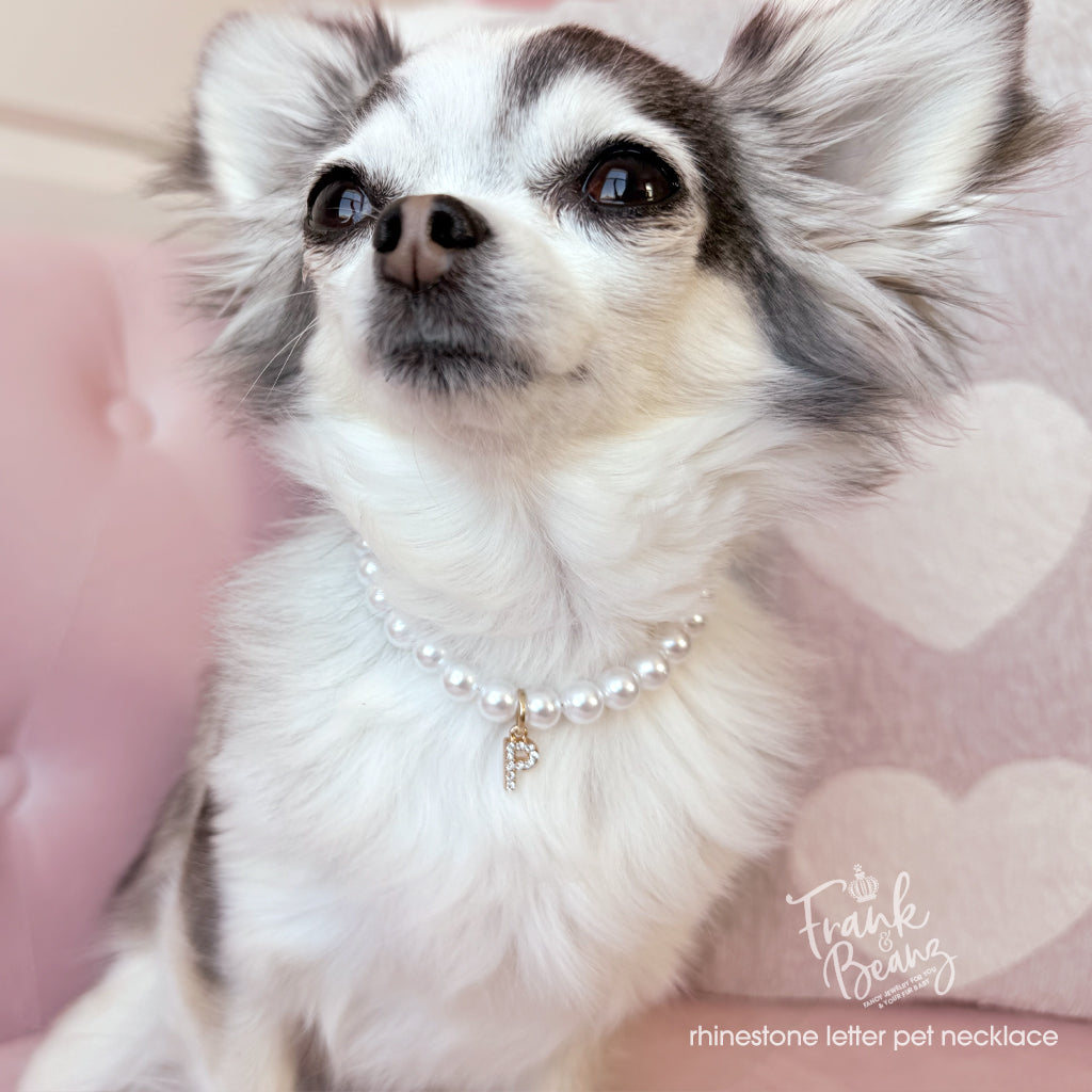 Rhinestone Gold Letter Charm Pet Necklace