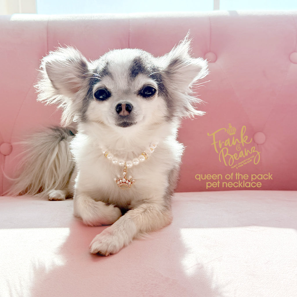 Queen of the Pack Rhinestone Gold Crown Dog & Cat Necklace