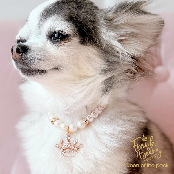 Queen of the Pack Rhinestone Gold Crown Dog & Cat Necklace