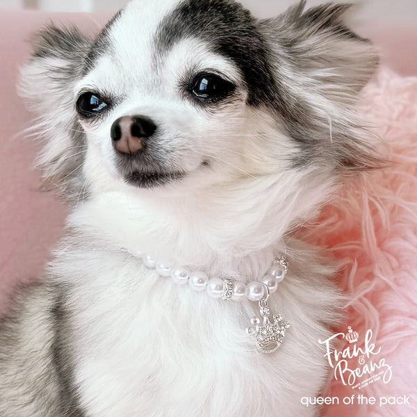 Queen of the Pack Rhinestone Silver Crown Dog & Cat Necklace