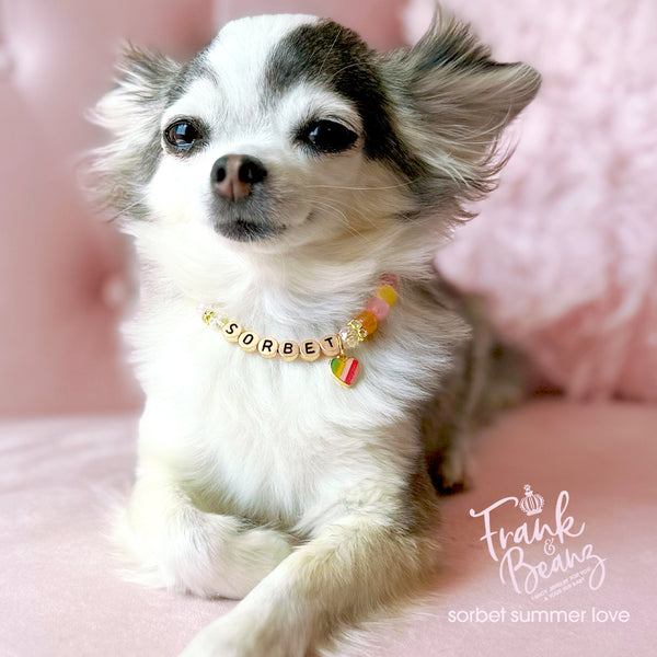 Multicolor Beaded Dog & Cat Necklace with Heart Charm