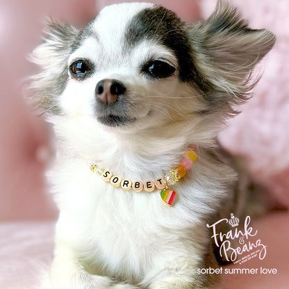 Multicolor Beaded Dog & Cat Necklace with Heart Charm