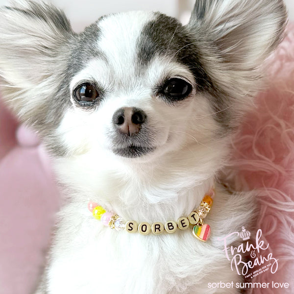 Multicolor Beaded Dog & Cat Necklace with Heart Charm