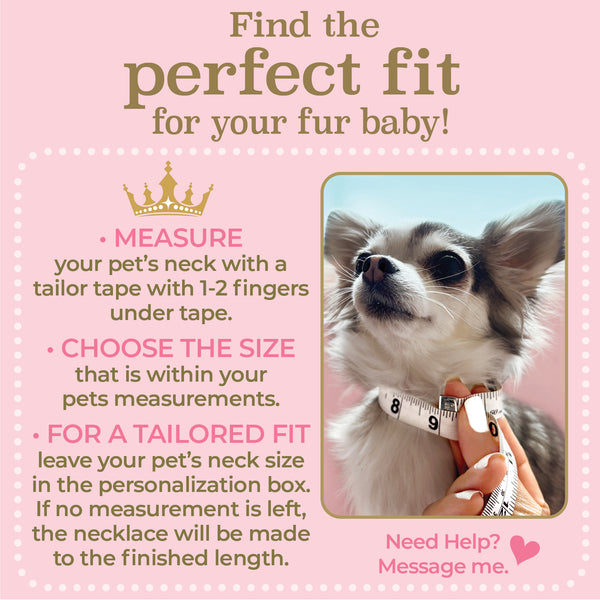 Queen of the Pack Rhinestone Gold Crown Dog & Cat Necklace
