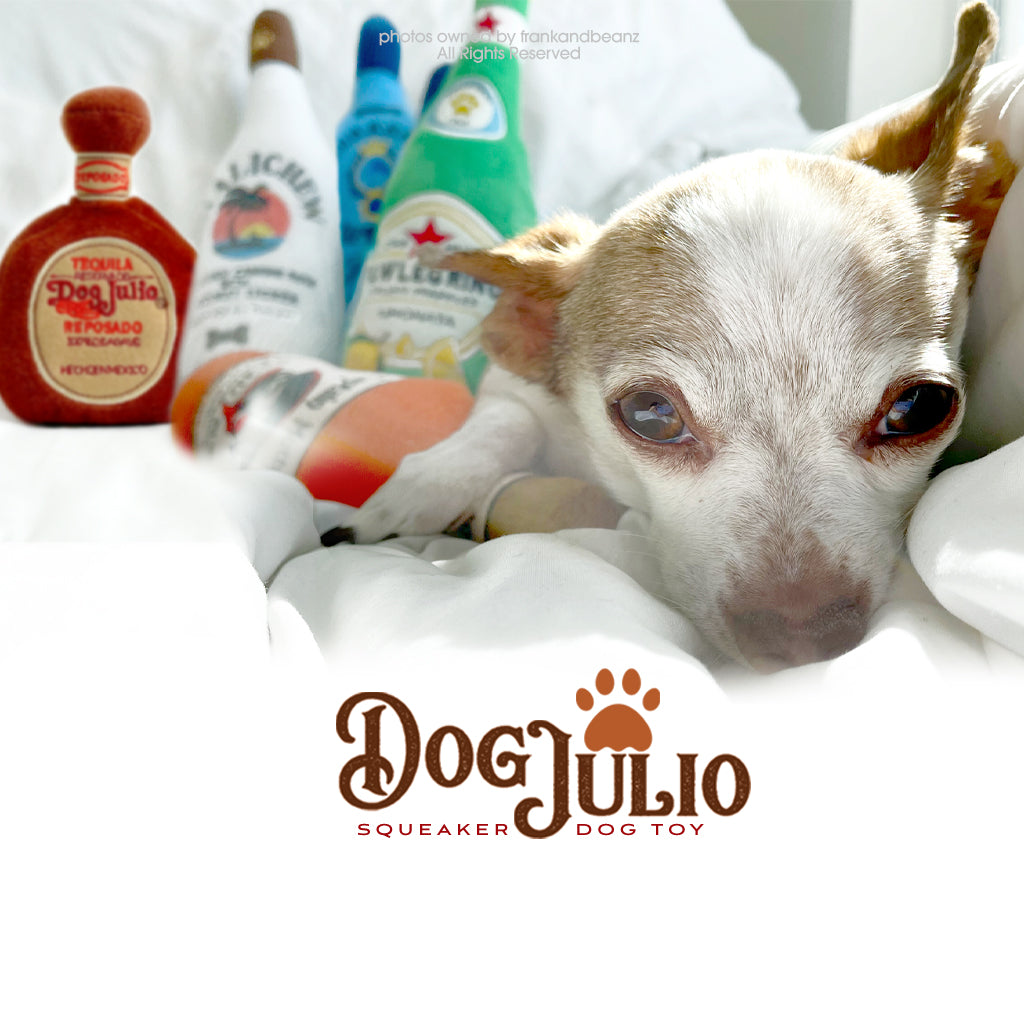 Dog Julio Tequila Bottle Plush Dog Toy Squeaky