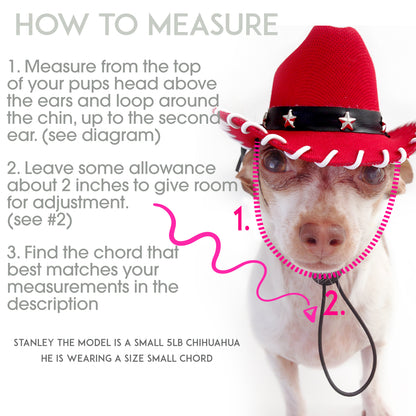 Ruby Reba Red Cowboy Dog Hat