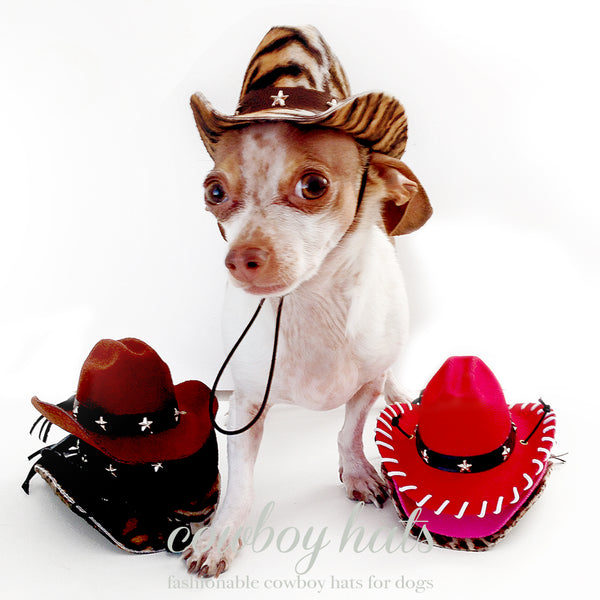 Ruby Reba Red Cowboy Dog Hat