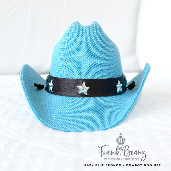 Baby Blue Bronco Canvas Cowboy Dog Hats for Small Medium Dogs Costumes for Pets