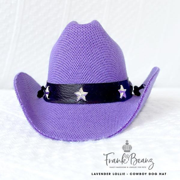 Lavender Lollie Canvas Cowboy Dog Hats for Small Medium Dogs Costumes for Pets