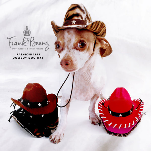 Indiana Jones Felt Cowboy Dog Hats for Small Medium Dogs Costumes for Pets