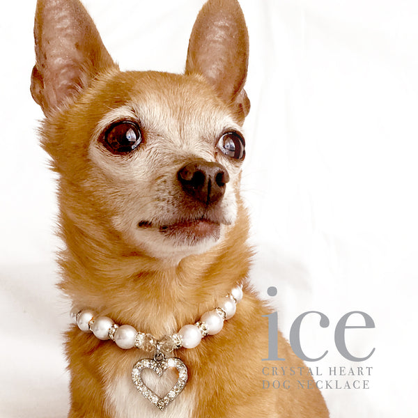 Ice- Heart and Pearl Rhinestone Dog Collar Necklace
