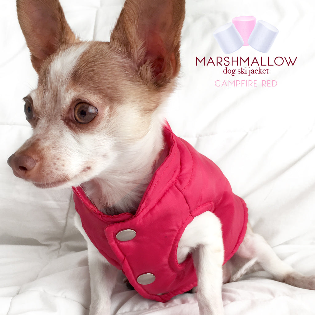 Campfire Red Ski Jacket for Dogs Winter Dog Coat