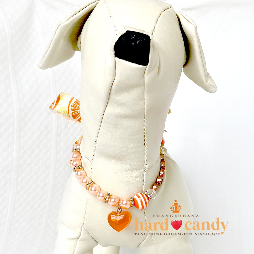 Hard Candy Tangerine Dream Dog Necklace Dog Collar Cat Necklace Luxury Pet Jewelry