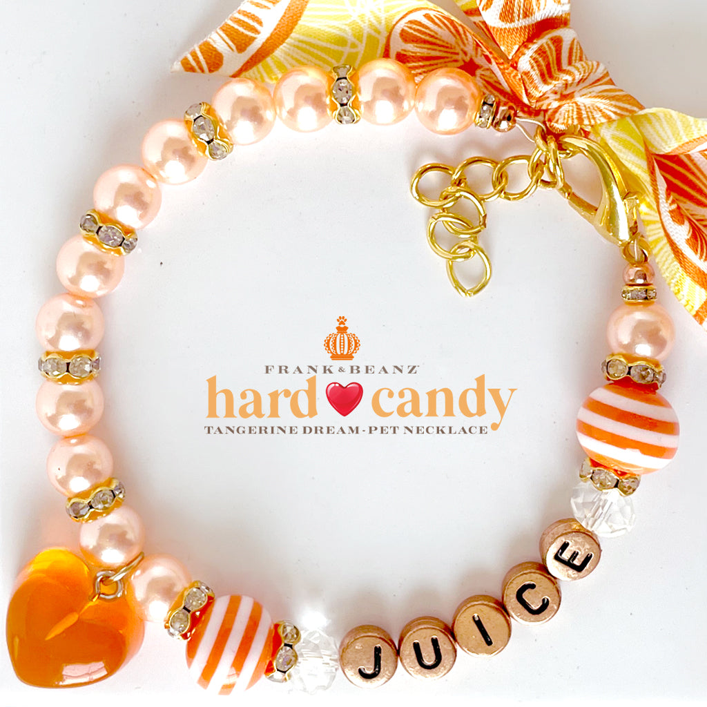Hard Candy Tangerine Dream Dog Necklace Dog Collar Cat Necklace Luxury Pet Jewelry
