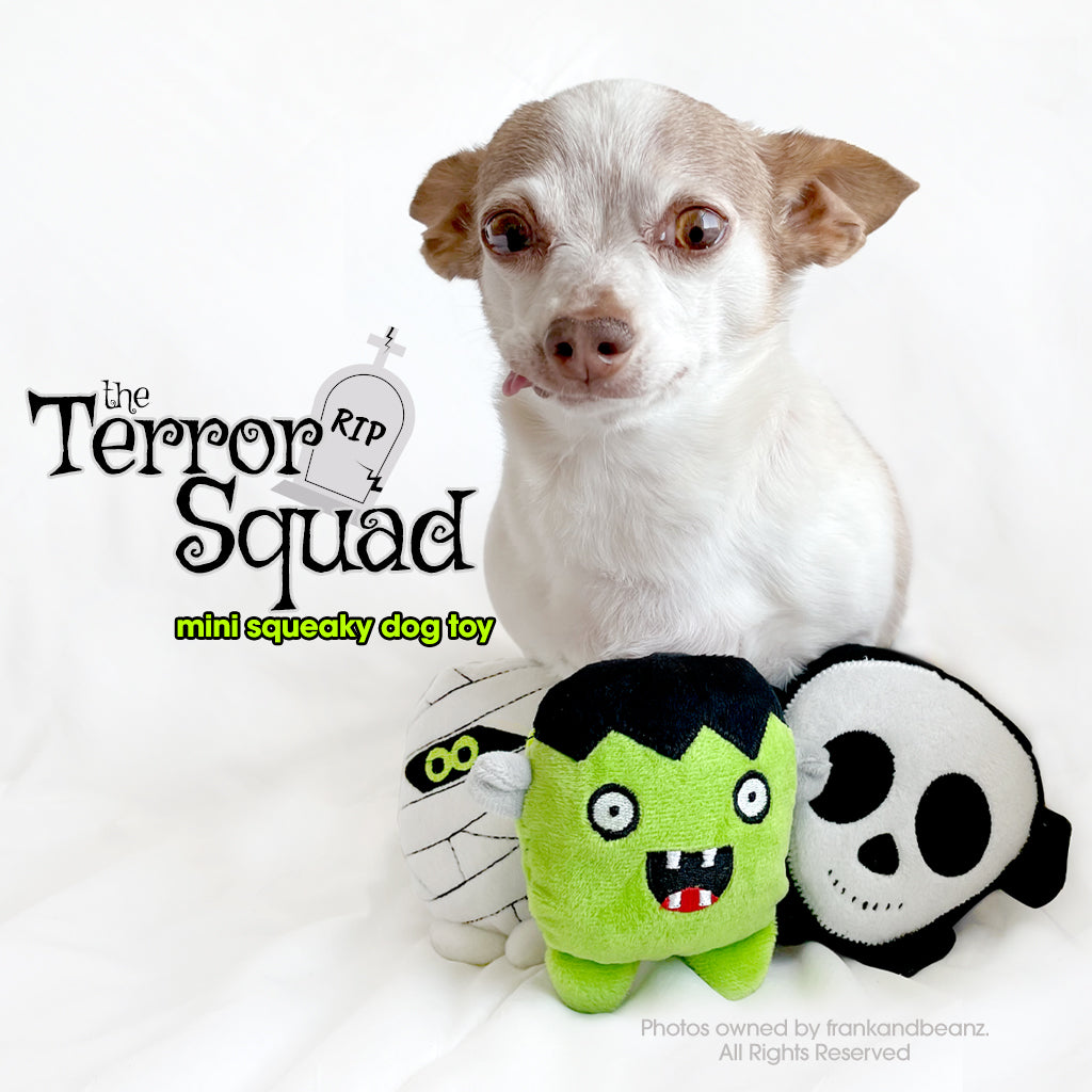 BONE Appetit Mini Dog Toy