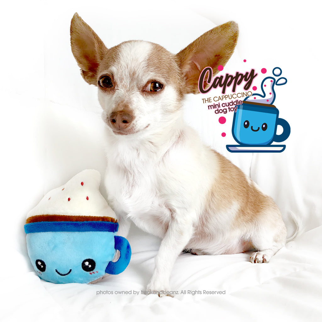 Cappy the Cappuccino Small Dog Toy No Squeaker