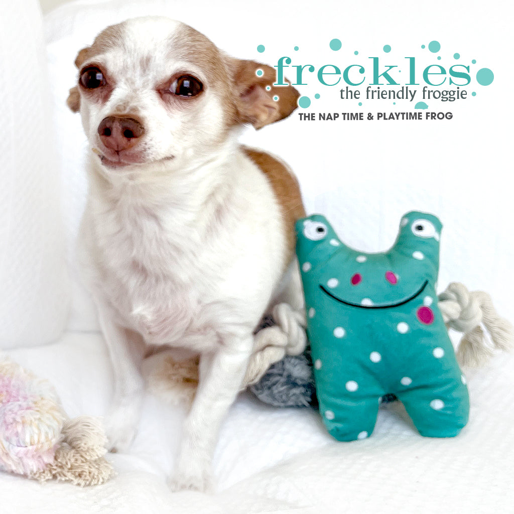 Freckles the Frog  Play Time Rope Dog Toys Nap Time