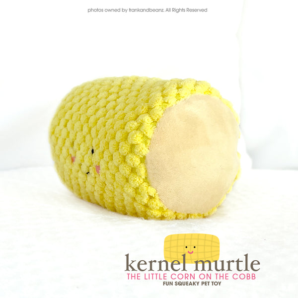 Thanksgiving Kernel Murtle Little Dog Toys for Small Dogs