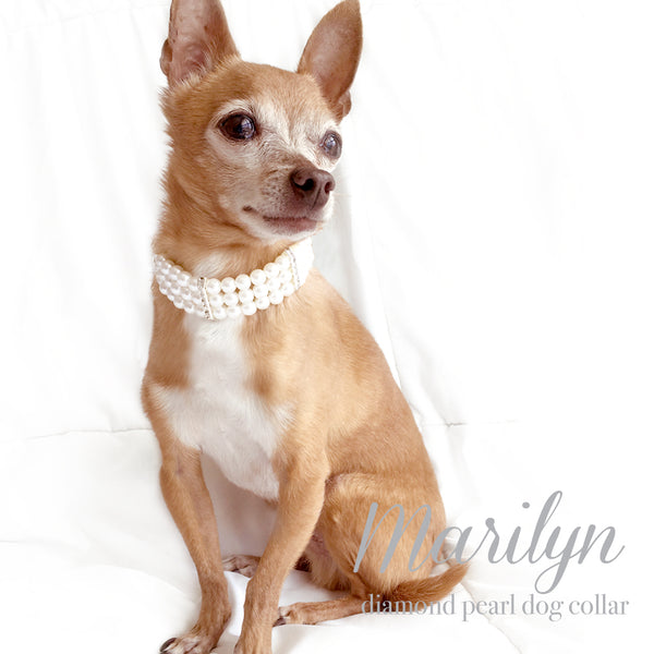 Marilyn- Diamonds and Pearls Dog Collar Necklace