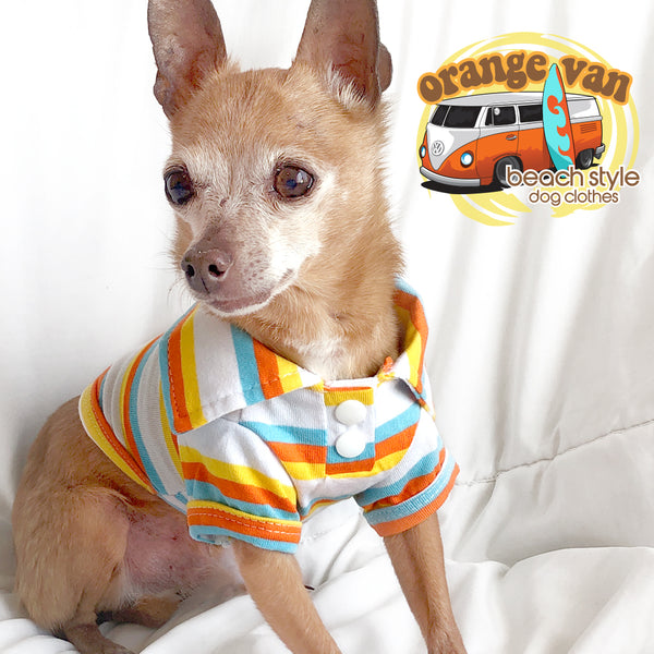 Orange Van-Tommy Sunkist Striped Dog Shirt