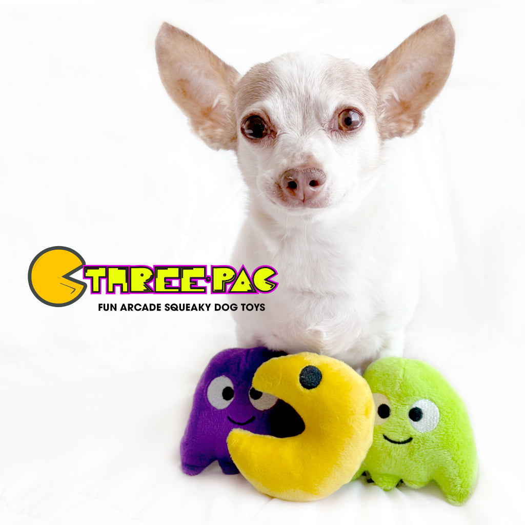 Flashback to the 80's Arcade Mini Dog Toys for Pets