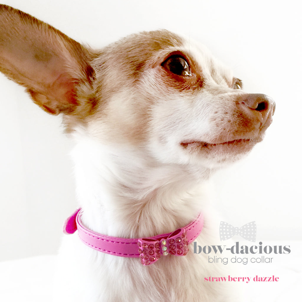 Pink Bowtie Dog Collar- Strawberry Dazzle